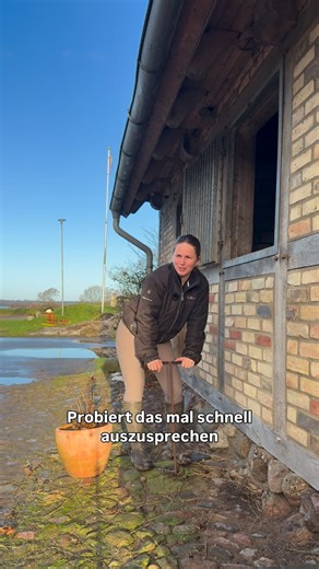 𝐂𝐚𝐫𝐨𝐥𝐢𝐧 | 𝟐𝟖 | 𝐒𝐜𝐡𝐥𝐞𝐬𝐰𝐢𝐠-𝐇𝐨𝐥𝐬𝐭𝐞𝐢𝐧 on Instagram: "1. Hab ich jetzt einen Sprachfehler? 🗣️ 2. Bin ich evtl etwas zu euphorisch jetzt schon an den April zu denken? ☀️ 3. … fällt mir nichts zu ein.. bin sprachlos 😂🙌 Wie ist die Wetterlage bei euch? Über Nacht hat’s wohl durchgerechnet. Der Schnee ist runter vom Reitplatz und ich glaube ich kann heute sogar direkt drauf reiten. Ist das cool oder ist das cool ? 🤩🐴🐴🐴 #pferde #winter #reitsport #equestrian #pferdeliebe"