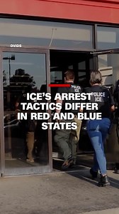 597K views · 7.4K reactions | A CNN analysis shows that ICE follows...