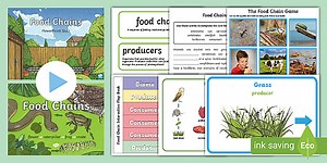 KS2 Food Chains Activity Pack