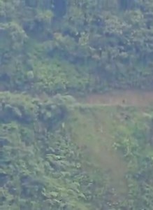 Voyez comments MAKENGA azo kima C’est chaud ba petit oyo ba Tigre rouge baza mabe pardon | Afroinfos243 Officiel