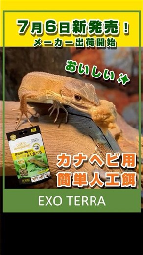 【よく食べる！カナヘビ用の簡単フード】7月6日よりメーカー出荷開始！「カナヘビブレンドフード 40g」