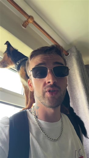 Ermm the dogs broke? #fyp #dogs #comedy