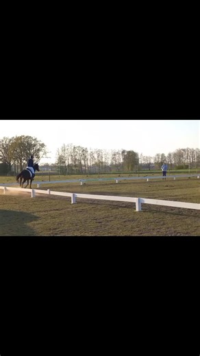 wat een proef. hij was buiten zo enorm rustig ni normaal. dit was gewoon de 1ste proef dat ie zo rustig liep❤️ 📸@diortje #fy #dressuurpaard #paard #ub40 #wedstrijd #breehees