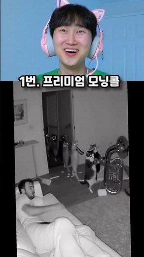 선택하기 119편. 가장 어이없는 AI 영상을 골라주세요💀