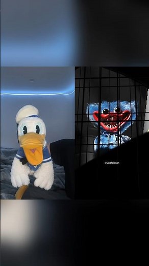 Donald Ducc VS Poppy Playtime