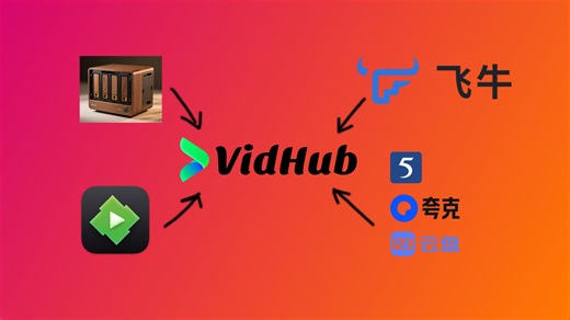 NAS，网盘，EMBY，飞牛影视，vidhub全部一网打尽