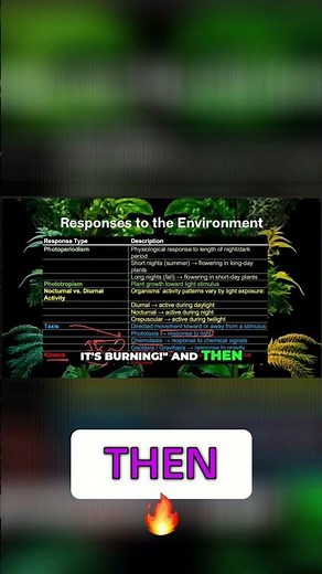 Kinesis: How Your Body Reacts to Stimuli!