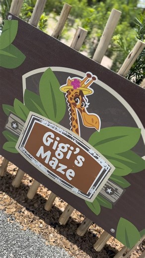 The wait is finally over - Gigi's Children's Maze opens this Thursday, July 4th! 🦒 Join us at 1:00PM in the Asia section (between the Hyena & Addra gazelle habitats) for a very special ribbon cutting by Commissioner Kionne L. McGhee of District 9. Plus, enjoy special activities all day long as part of #ZooMiami's birthday AND #4thOfJuly celebrations! | Zoo Miami