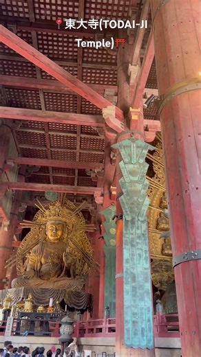 東大寺(TODAI-JI Temple)⛩️⛩️⛩️🇯🇵🎌🇯🇵🩷😍❤️#日本 #旅行 #奈良市 #fypageシ#dailylife #東大寺