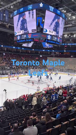 Leafs Home game!