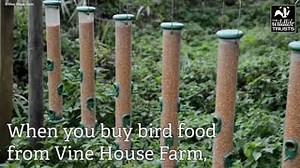 This week Vine House Farm are celebrating raising an incredible £2 million for wildlife conservation! Thank you! 🐦🦉🦆 You can feed the birds and support our work in one fell swoop. Don’t forget to mention Cheshire Wildlife Trust when you buy to help raise funds for us. https://www.vinehousefarm.co.uk/ | Cheshire Wildlife Trust