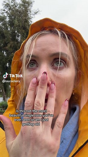 The Beauty of a Single Red Rose Explained