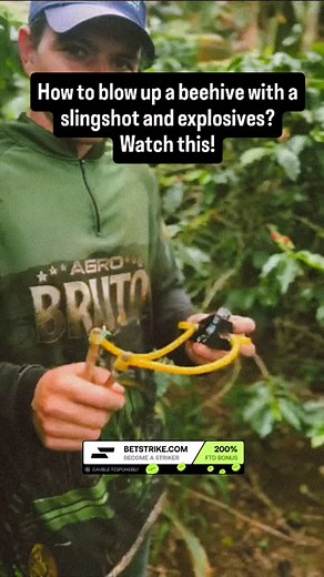 178 reactions | If you like explosion videos:↴ ⚙︎ We search the internet for the best explosion videos and post it here. ⚒︎ Check our Posts & Find Your Favorite video ☛ DM us for removal or credit #fyp #explorepage #viral #reels #explosion #epicexplosion #boommoment #kaboom #bigboom #fireball #blownup #fullsend #fireworksfail #explosivecontent #wildexperiments #madscience #pyrolife #gasandgoboom | Boomblastexplosion | Facebook