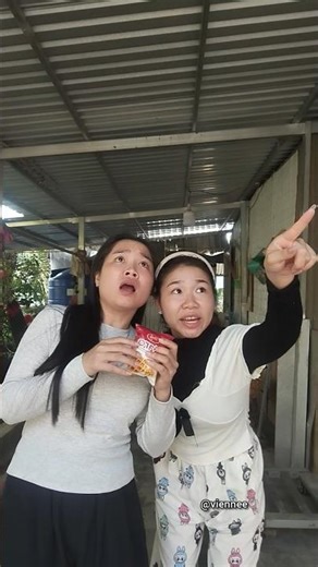 Encountering a gigantic cat strolling down the street #funny #humor #shorts