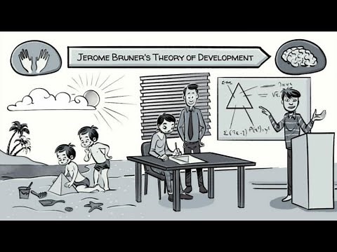 Bruner's Theory: 3 Steps of Learning in a Spiral Curriculum