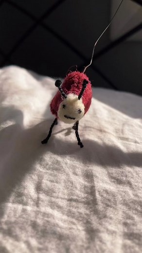 Unique Bug Art: A Creative Twist on Insect Taxidermy