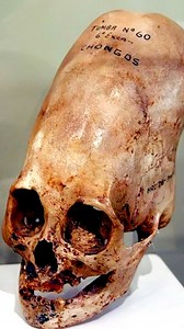 It could change history as we know it 😮 #paracas #peru #ancienthistory #AncientMystery #AncientMysteries #archaeology #ancientcivilizations | History Piece