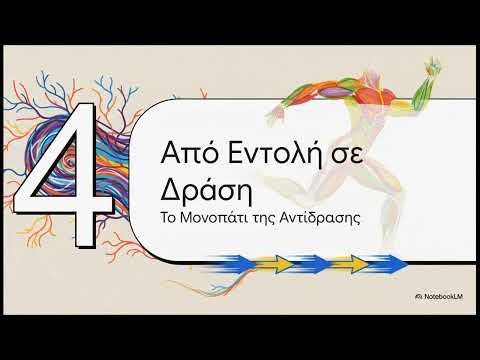 Το Νευρικό Σύστημα ΒΙΟΛΟΓΙΑ Α ΓΥΜΝΑΣΙΟΥ ΚΑΒΑΣΙΛΑ ΗΜΑΘΙΑΣ