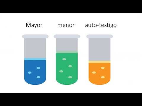 Practica 8 - Pruebas Cruzadas