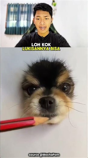 Here Are the Best Animal Pictures in the World 😱 #shorts