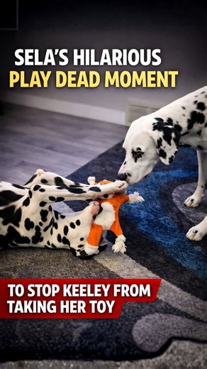 Sela’s hilarious play dead moment to stop Keeley from taking her toy