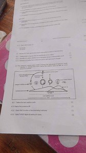 Questions on Oestrus Cycle in Cows4.3.1 Define the term oestr... | Filo