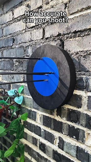 How accurate can you shoot?#shooting #compoundbow #archery #gift #minitoy