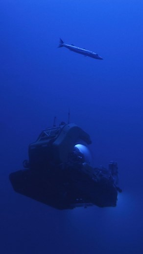 Discovery under the sea! #submarine | Nature Videos