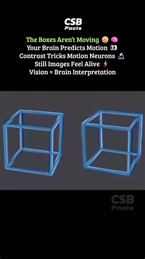 These Boxes Aren’t Moving 🤯🧠