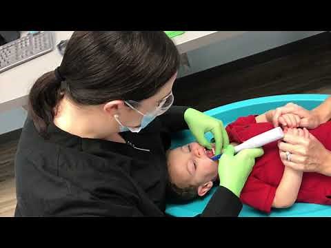 Infant/Toddler Dental Exam - Magnolia Pediatric Dentistry