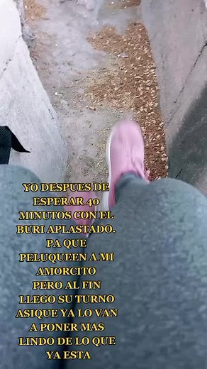 La espera de un amor: transformación del burro