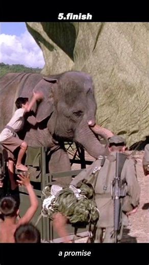 Operation Dumbo Drop – The Aerial Delivery 🐘🪂⛅