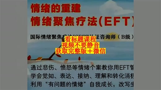 情绪的重建 情绪聚焦疗法EFT 20讲