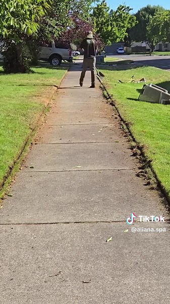 Essential Lawn Care Tips for Effective Mowing