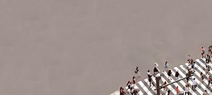 The State of Social Cohesion During Covid-19 - Centre for Science and Policy