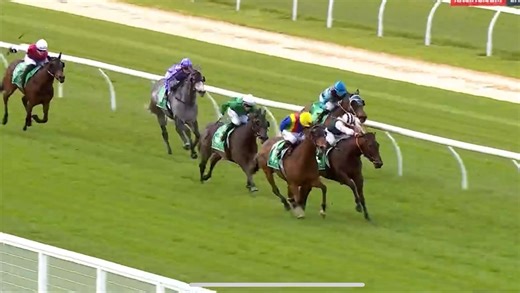 She’s Impeccable 💚 How good was that at The Bool today! 🙌 She lived right up to her name — tough, genuine and absolutely impeccable at the home track! A big shout-out to the Bouchier family for their continued support, and to Chris Pang for a pearler of a ride 👏 And of course, massive thanks to our hard-working team who put in every day 💪 #ShaneJacksonRacing #TheBool #TeamSJR #ShesImpeccable #WinningFeeling | Shane Jackson Racing