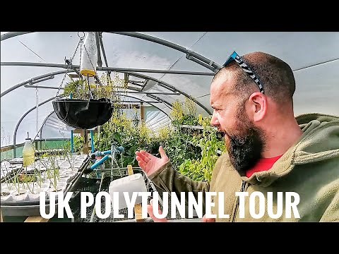 UK POLYTUNNEL TOUR | Hydro & Aquaponic OFF GRID system