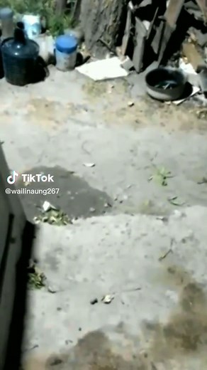 Ben-10 frog alien #fyp #foryou #foryoupage #ben10 #frog #alien #viral