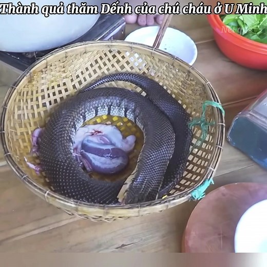 Cách nấu rắn ngon với món ăn miền Tây