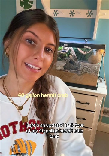 My hermit crabs 40 gallon home! Can’t wait to upgrade it to a 80 gallon mansion for them.. stay tunedddd👀 #hermitcrabs #hermitcrab #animals #pets #beach