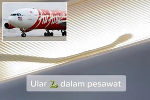 Snake inside plane's light fixture forces emergency landing in Malaysia