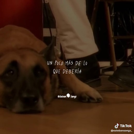 Bryan Adams Please Forgive Me Song Lyrics Video