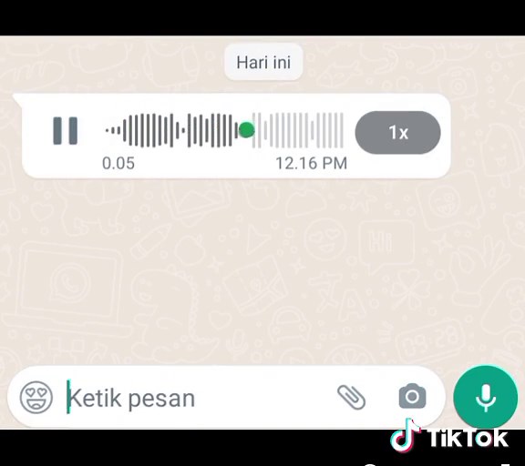 Suara Salam Viral: Ungkapan Assalamualaikum Menarik