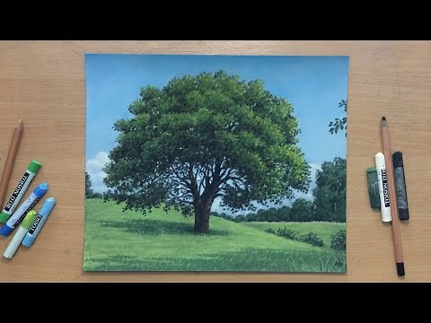How to Draw a Tree in Pastel | Landscape Drawing