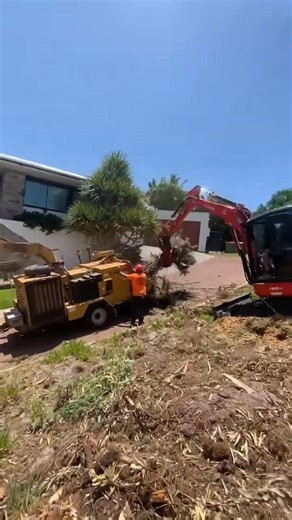 Advanced Tree Surgery - Sunshine Coast on Reels