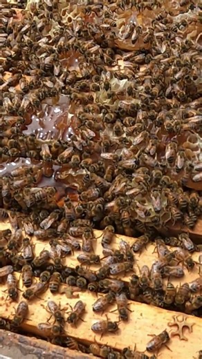 Never Seen This Before, What Fun.