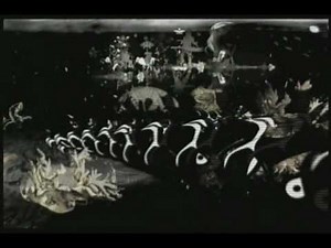 Gustavo Cerati - La Excepción (2006) | IMVDb