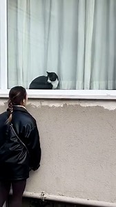 1.2M views · 39K reactions | They're even dressed the same!  | Furry Tails | Facebook