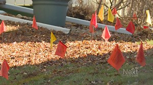 Decoding the colored utility flags you see at digging sites