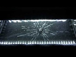 Les rayonnements électromagnétiques et l’optique – pour les enseignants